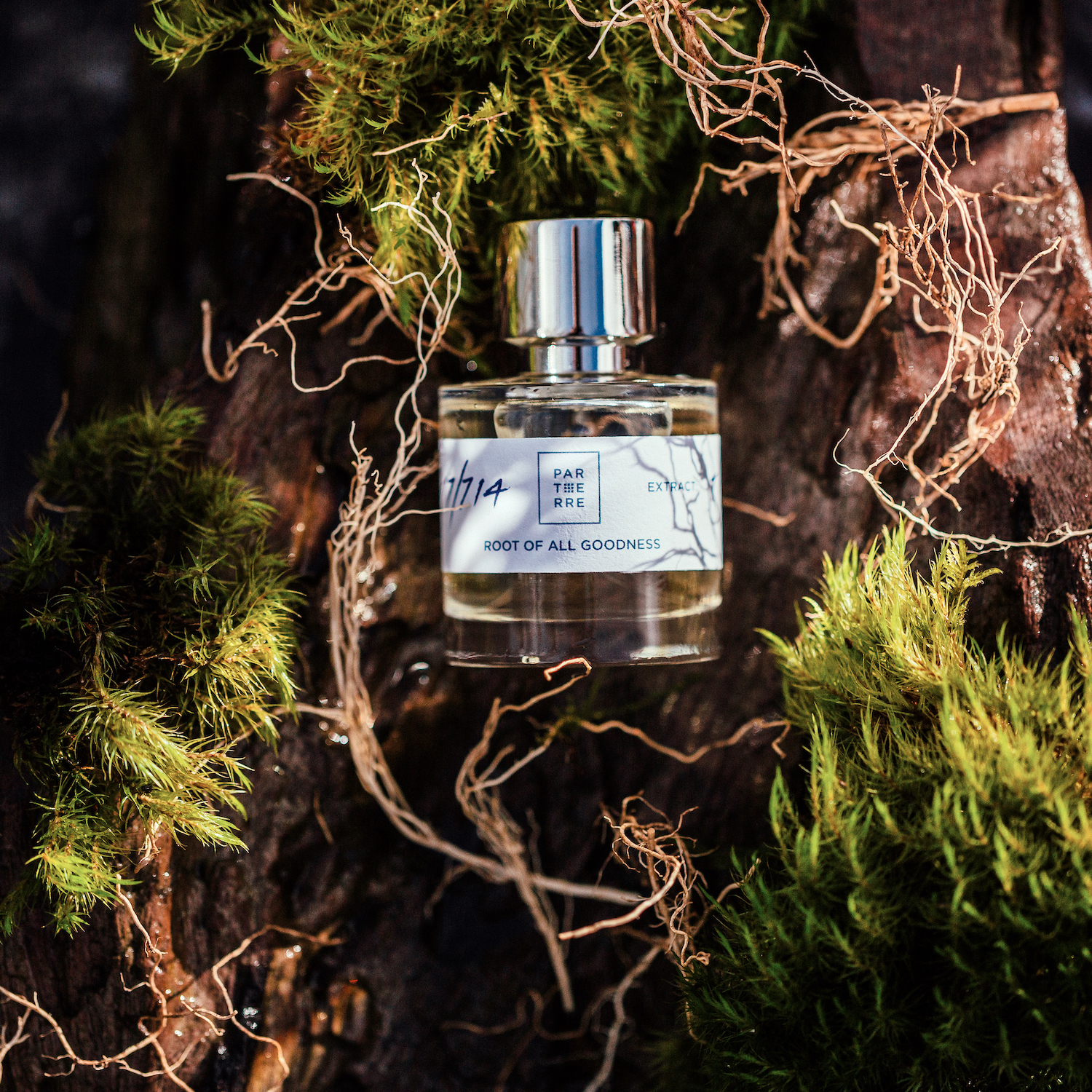 Root of all Goodness. 50 & Travel