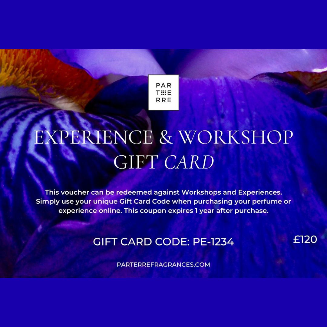 Experience & Workshop E-Gift Card